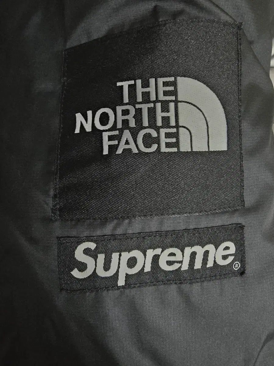 Supreme x THE NORTH FACE ザノースフェイス 800 ダウン