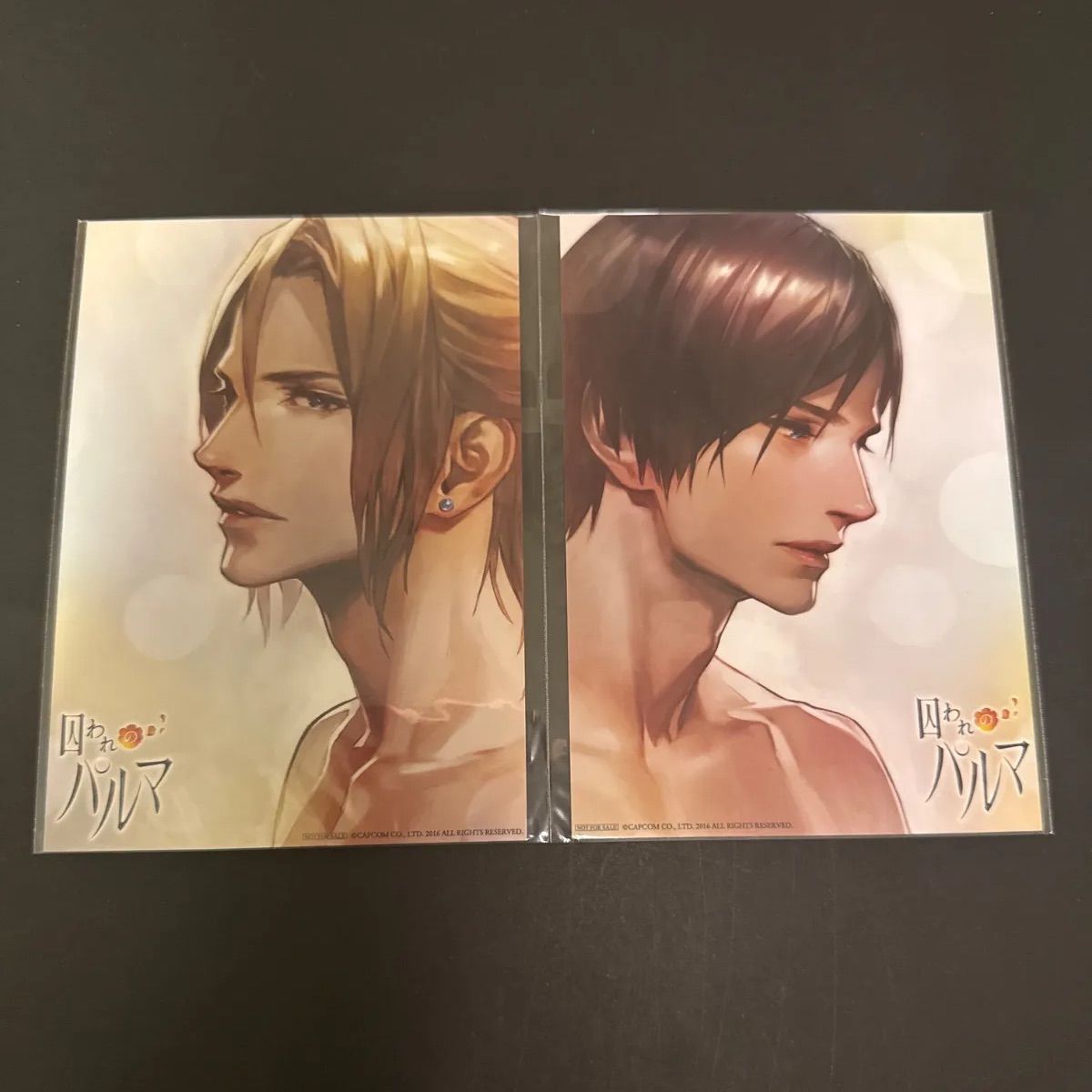 囚われのパルマ ミュージアム アオイ ハルト ブロマイド 限定 2点