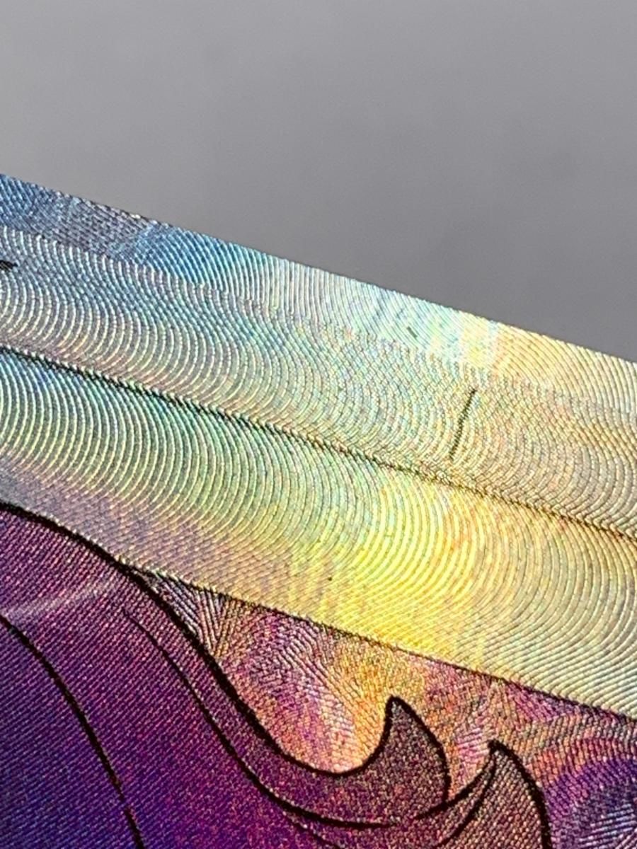 アセロラ SR [新たなる試練の向こう] SM2+ 056/049 美品 ポケモン