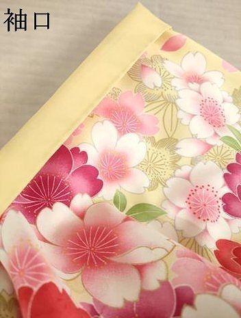 平和屋着物○小振袖 二尺袖 花蝶文 暈し染め 金銀彩 洗える着物