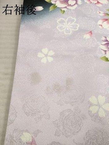 平和屋着物○小振袖 二尺袖 舞花文 暈し染め 金彩 銀通し地 洗える着物