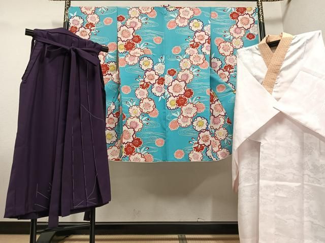 平和屋着物 小振袖 二尺袖 長襦袢 無双仕立て 行灯袴セット 舞桜 洗える着物 ph