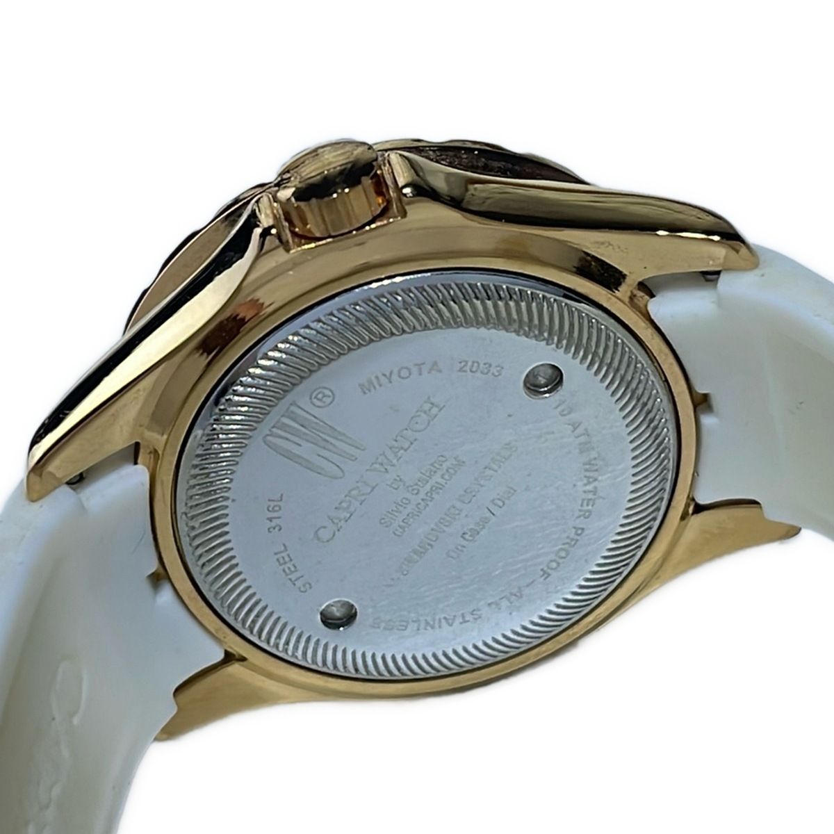 CAPRI WATCH(カプリウォッチ) 腕時計 - 316L レディース ライン