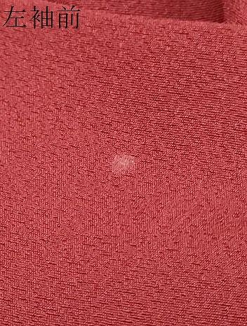 平和屋着物 上質な色無地