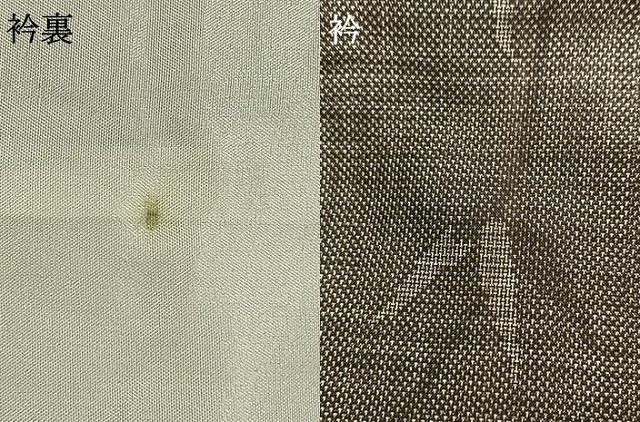  平和屋着物 本場大島紬 カタス9マルキ 笹文 正絹 fy 紬 着物