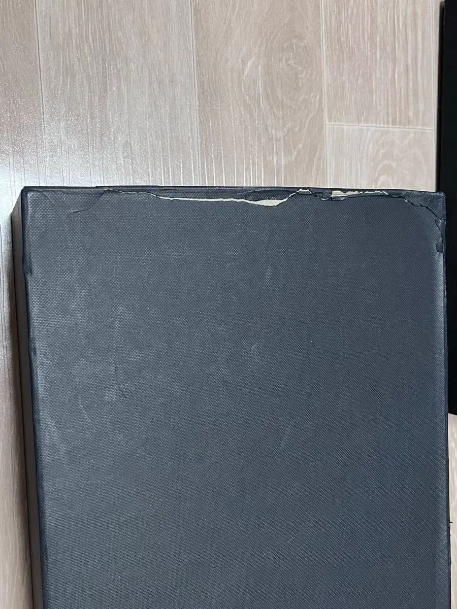  デビューできないと死ぬ病気にかかってしまいました 2部 モデル グッズセット 文学 小説 本