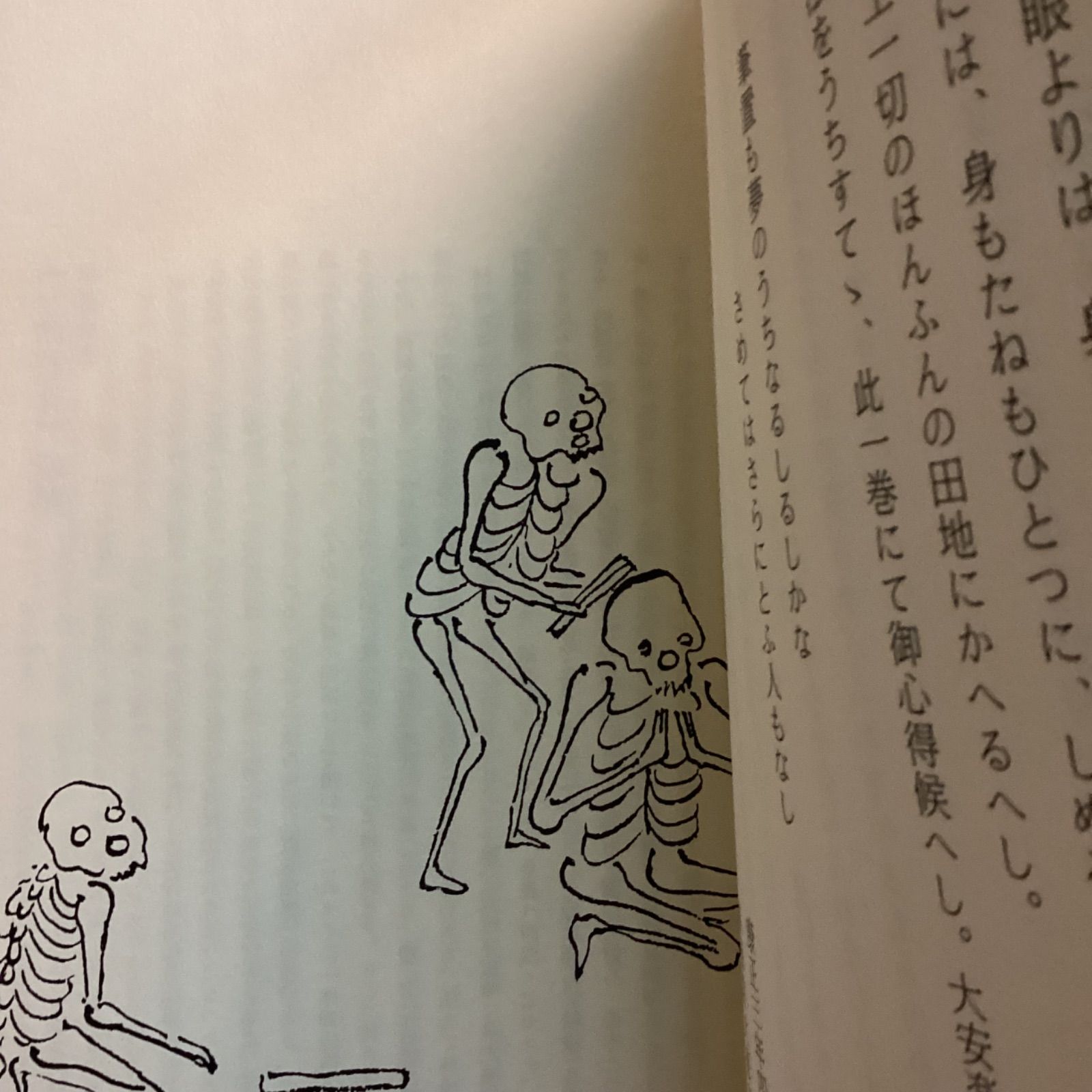 一休骸骨 一休骸骨 一函2冊入り 柳田聖山 編 出版社 禅文化