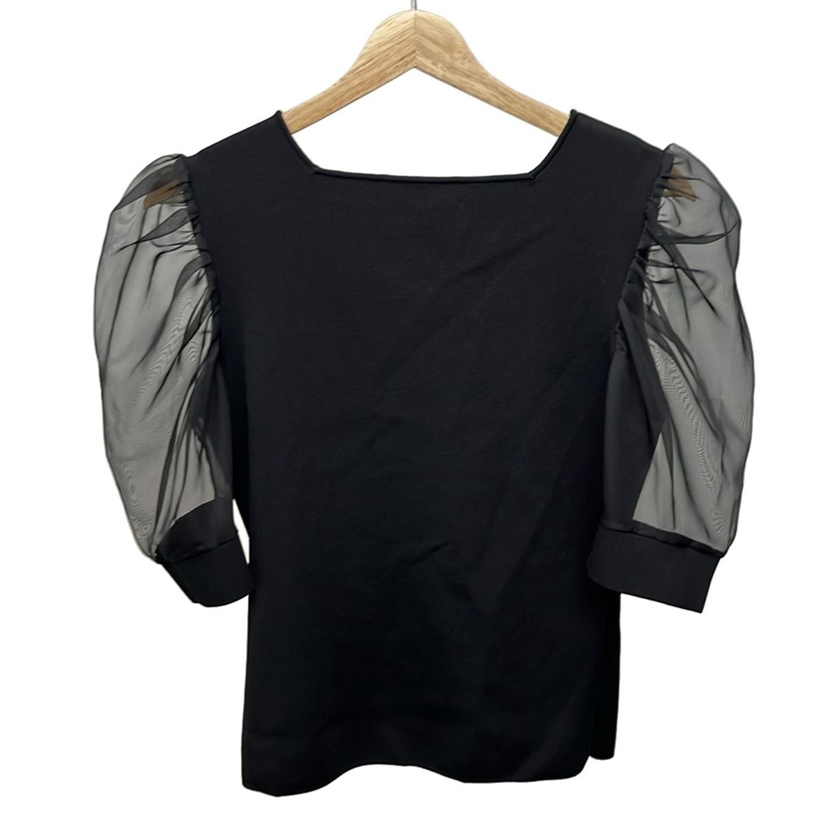 CELFORD セルフォード 半袖カットソー サイズ38 M レディース - 黒 シースルー