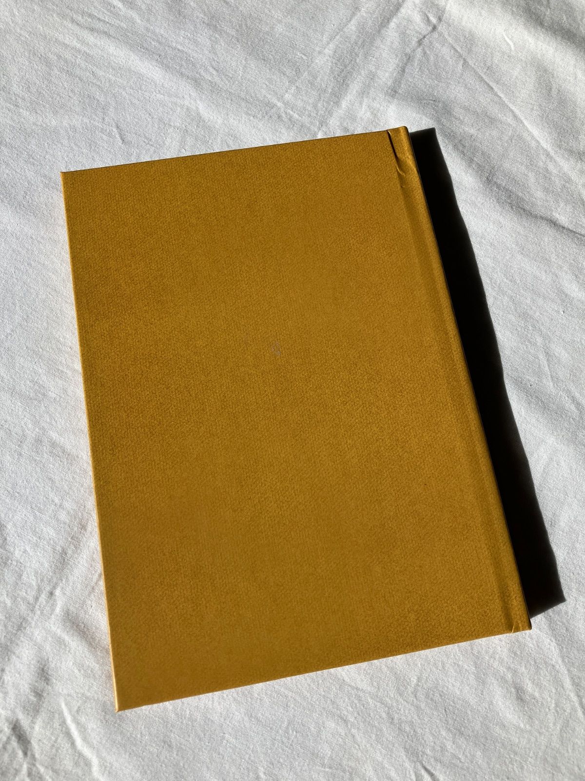 本 【サイン入り】ホドロフスキー the holy mountain film script