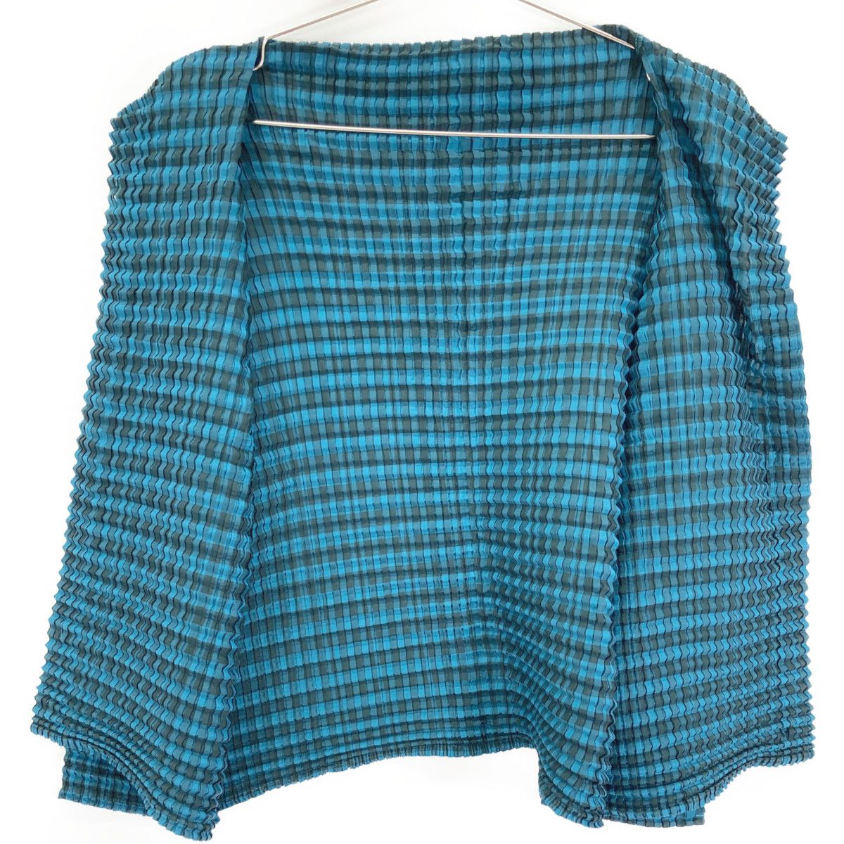 ﾌﾞﾙｰ ﾁｪｯｸ