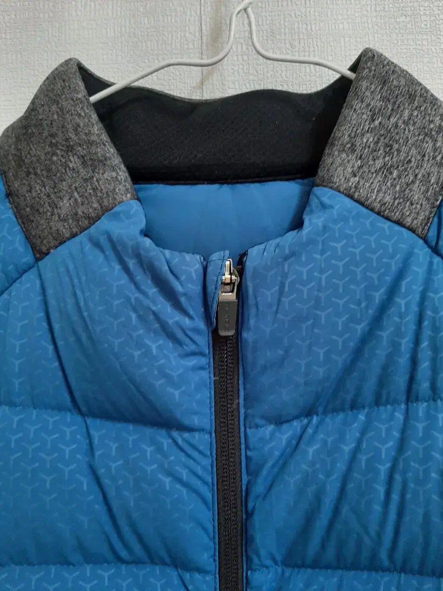 WIDE ANGLE メンズ グースダウン ダウン 110