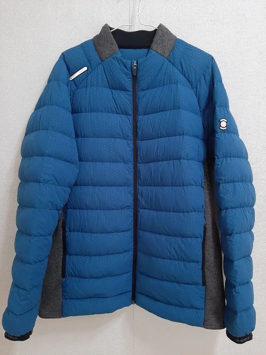 WIDE ANGLE メンズ グースダウン ダウン 110