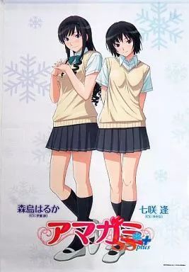 中古】タペストリー 森島はるか＆七咲逢 オリジナルB3タペストリー