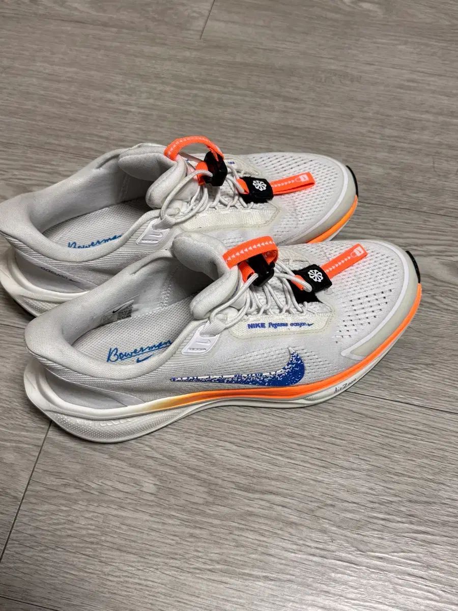 ナイキ ペガサス イージーオン 255