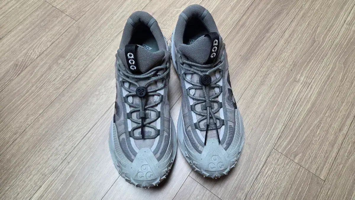 ナイキ ACG マウンテン フライ ロー 270