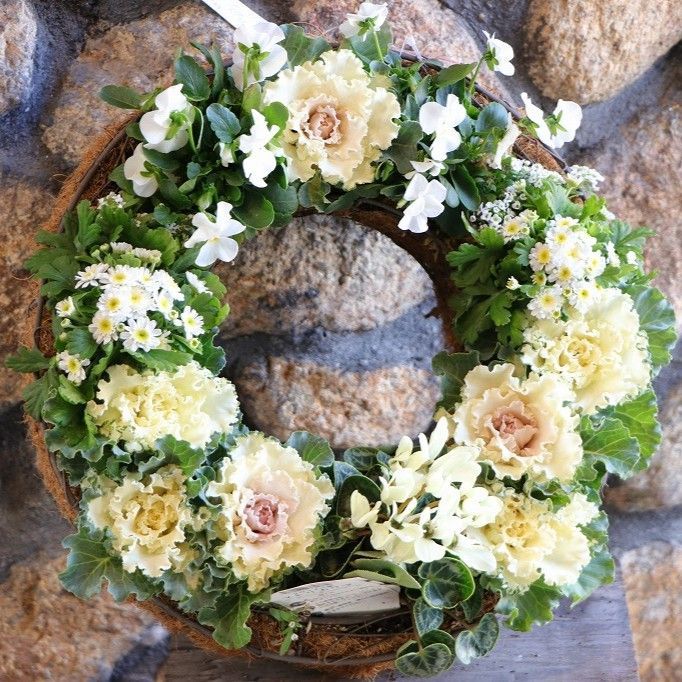 当店オリジナル ハボタンのホワイトブーケ リースの寄せ植え Ｌサイズ 現品２０８