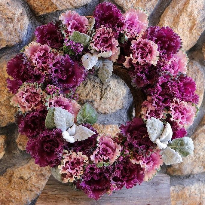 当店オリジナル ハボタンのロゼ＆レッド超ブーケ リースの寄せ植え Ｌサイズ 現品２１１