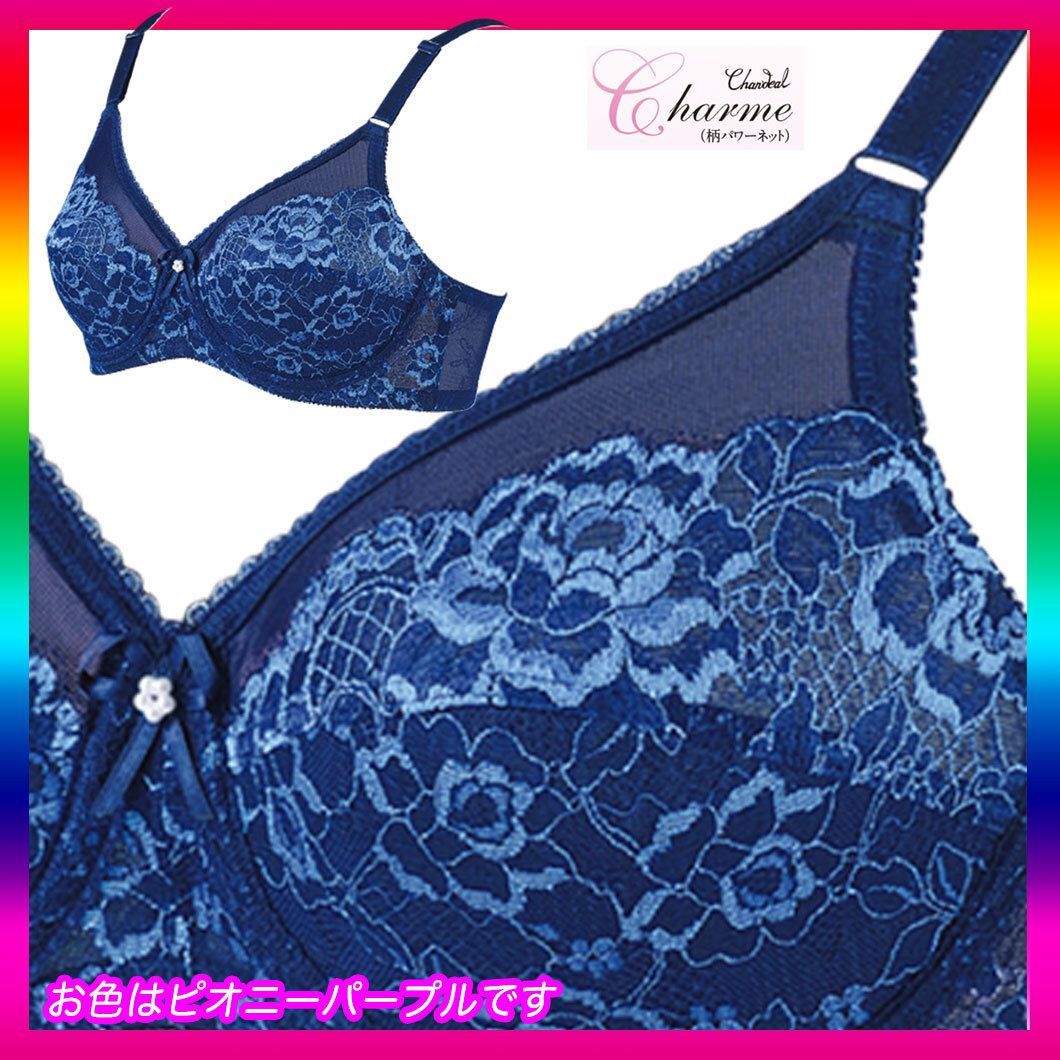 補正下着　シャンデール ブラジャー　E75 シャンデールエレガントNew柄パワーネットブラジャーE75 新色新商品