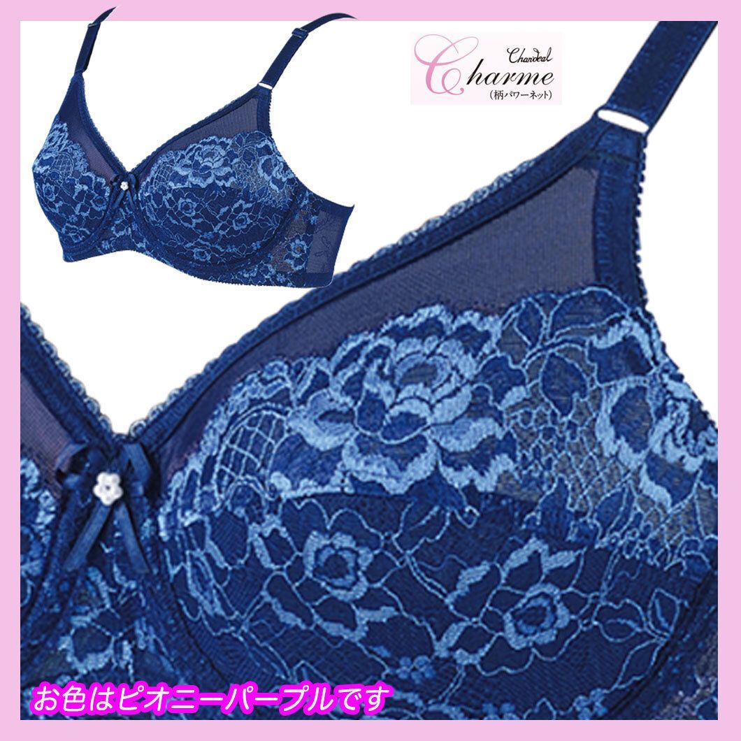 シャンデール　シャイニー　夏用　ブラジャー　C75 ブルー シャンデール シャイニー 夏用 ブラジャー C75 ブルー
