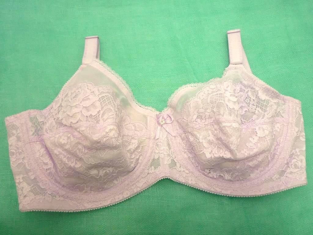 参考19800円 シャンデール シャルム ブラジャー ピオニーパープル C 85 補正下着 フルカップ 美バスト ワイヤー機能_SU 4 検マルコ