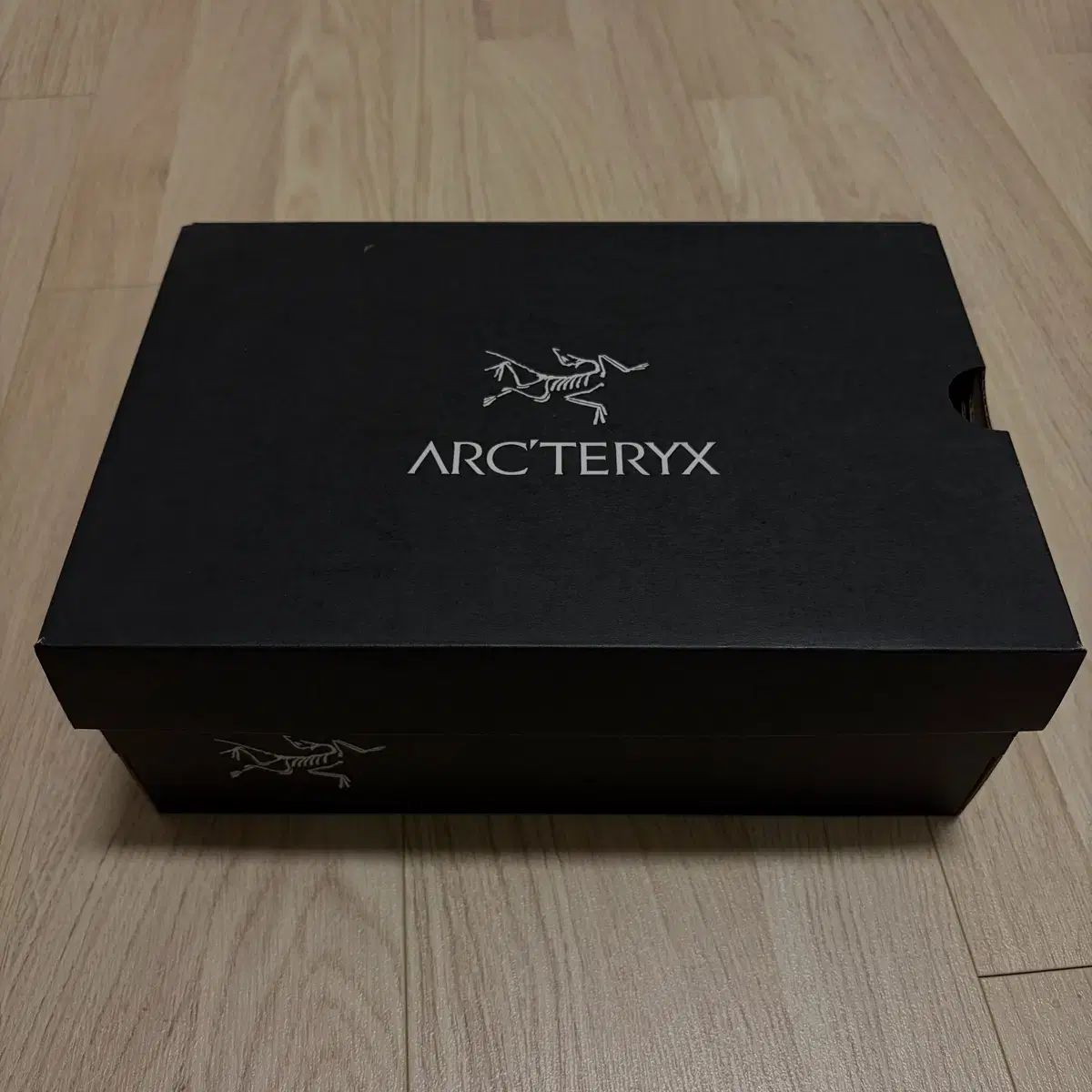 ARC TERYX アークテリクス バーテックス アルパイン 240