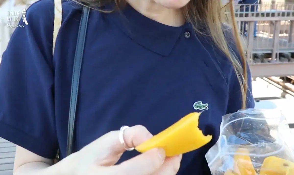  ラコステ 起毛 Tシャツ ネイビー 38 半袖(Tシャツ) Tシャツ カットソー