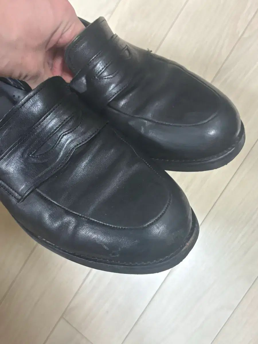 josepht ウール モーガン 270