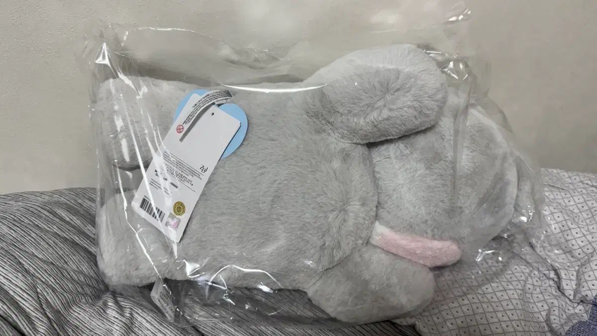 XERO ゼロ ニ エンジェル