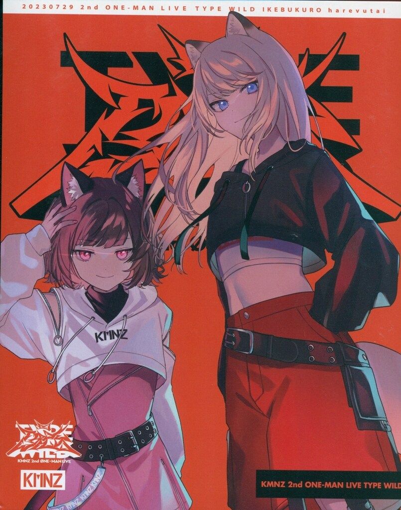 REALITY ライブ イベントBlu-ray KMNZ TYPE WILD 2 nd ONEMAN LIVE