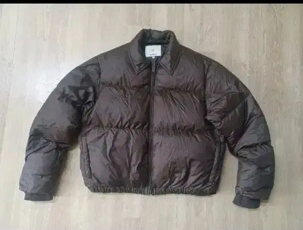 エドリエルロス 割引 メンズ ダックダウン ショートダウン 95 100 5351