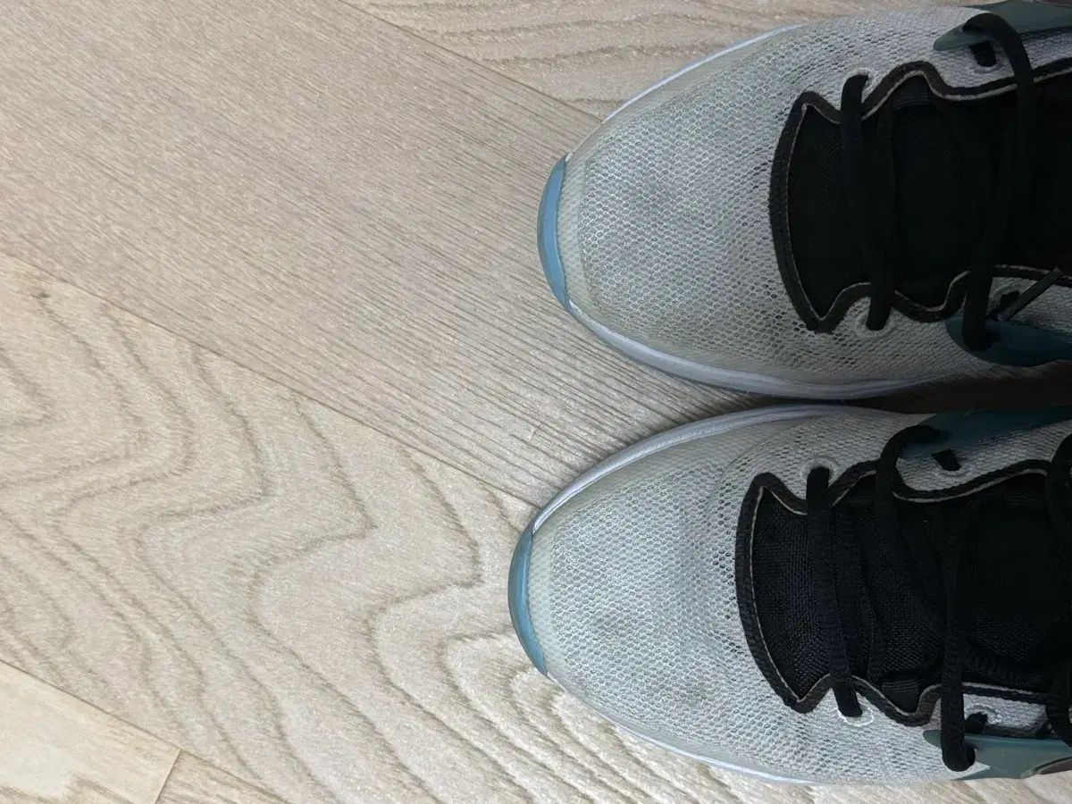 ナイキ バスケシューズ kd 15