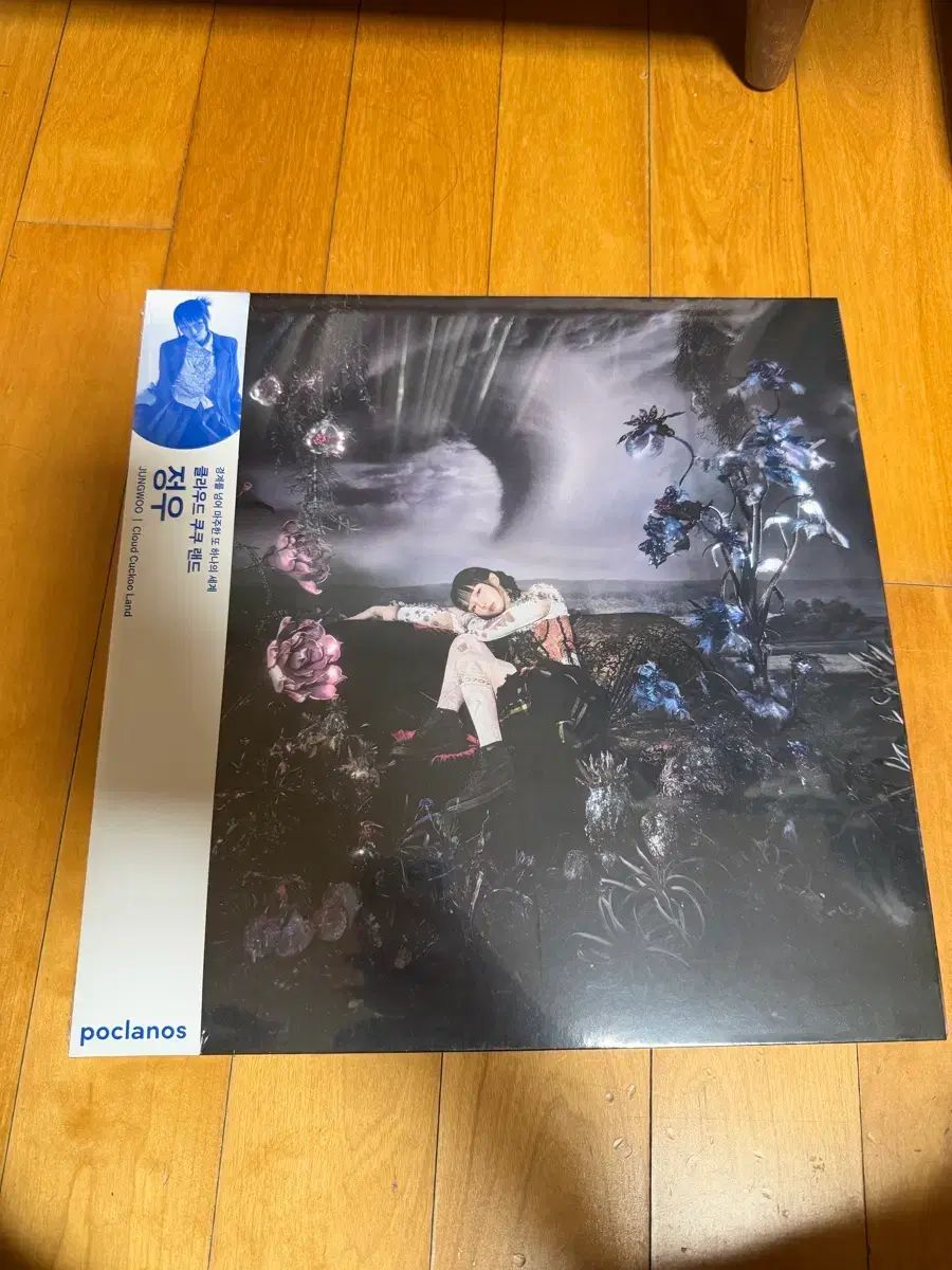 ジョンウ JUNG WOO クラウド クックランド lp