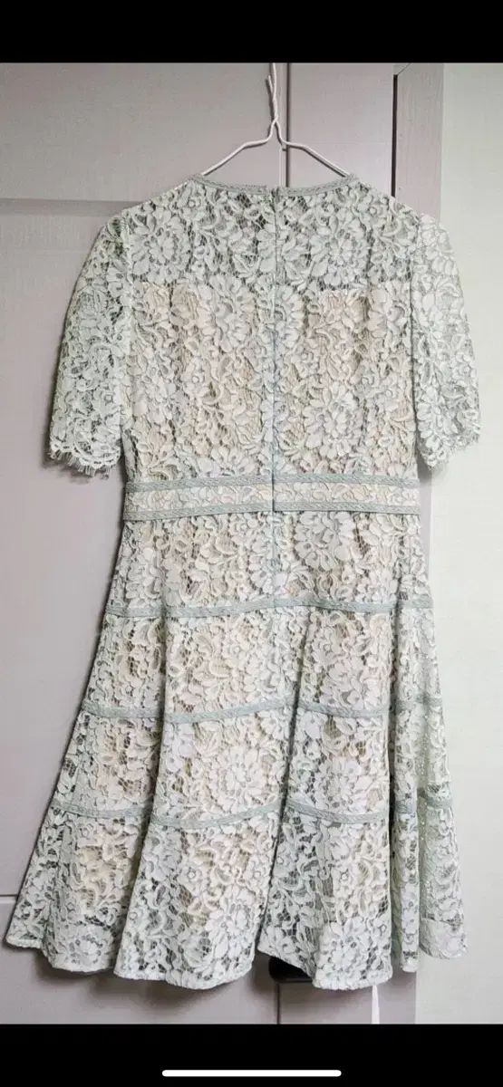 レース ONE PIECE ミント 55