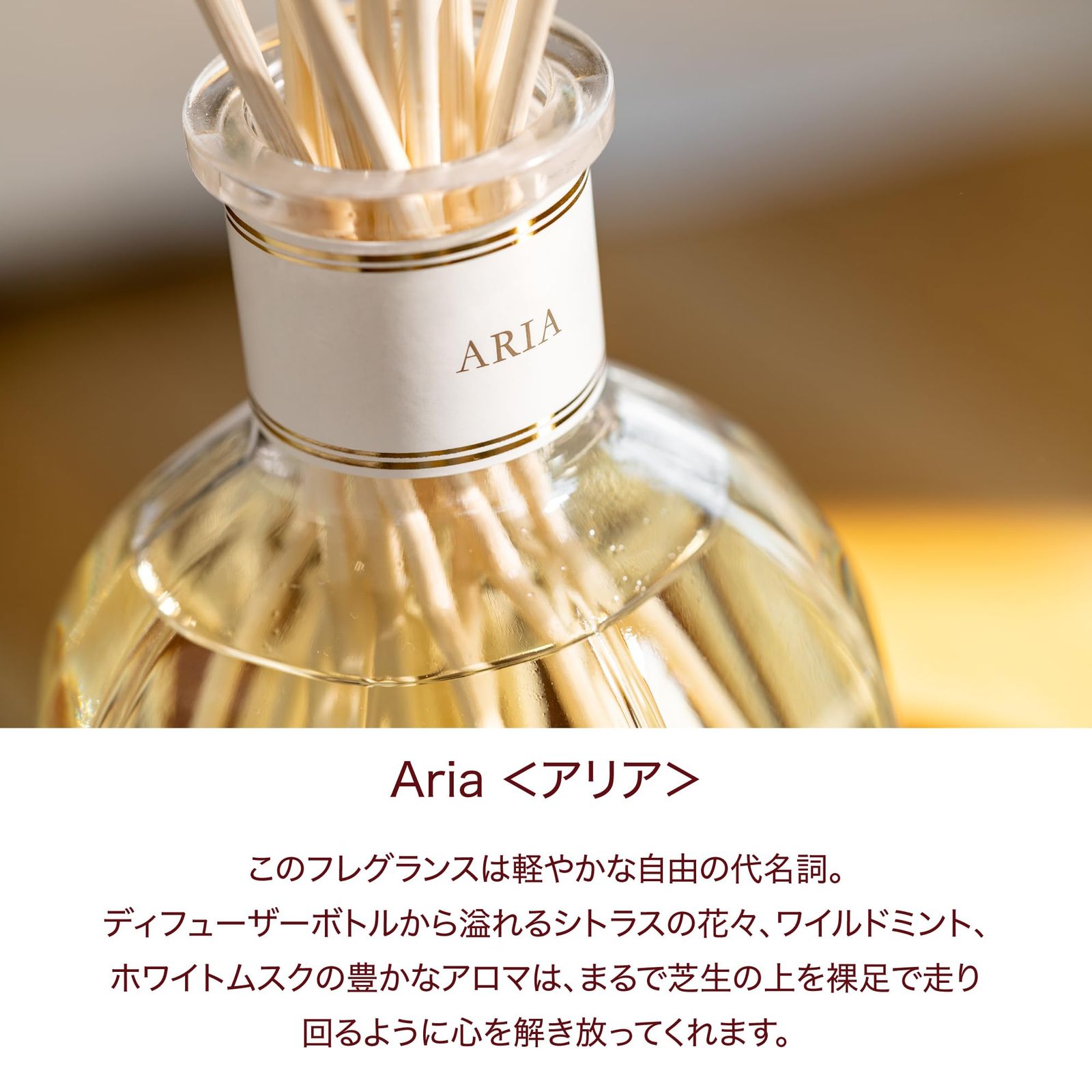 ARIA アリア