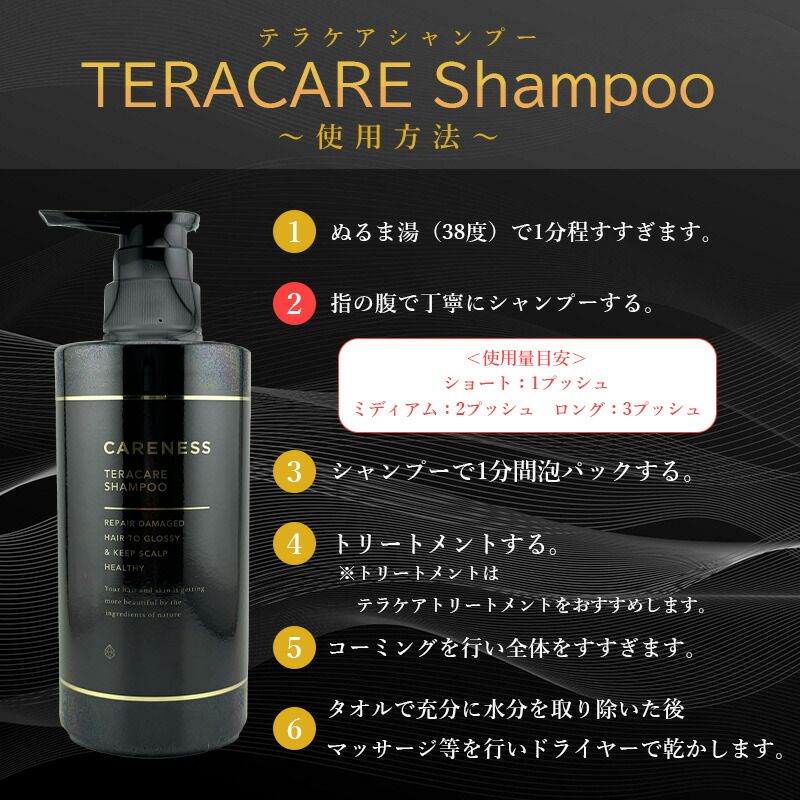 ヘアケア CARENESS テラケアシャンプー1000ml×2 レフィル