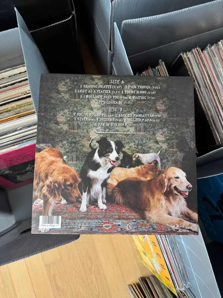 ジャズ ボーカル Norah Jones ノラ ジョーンズ ー The Fall LP