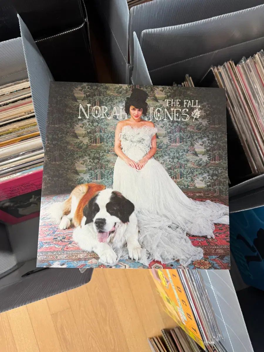 ジャズ ボーカル Norah Jones ノラ ジョーンズ ー The Fall LP