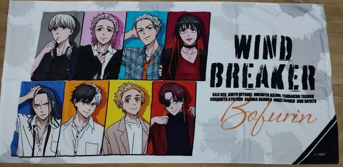 シリーズ ビッグ