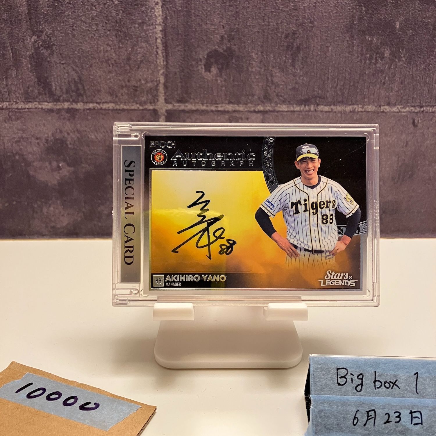 ノイズ　サインカード ミントモール / MINT 千葉店 / EPOCH 中日ドラゴンズ PREMIER EDITION