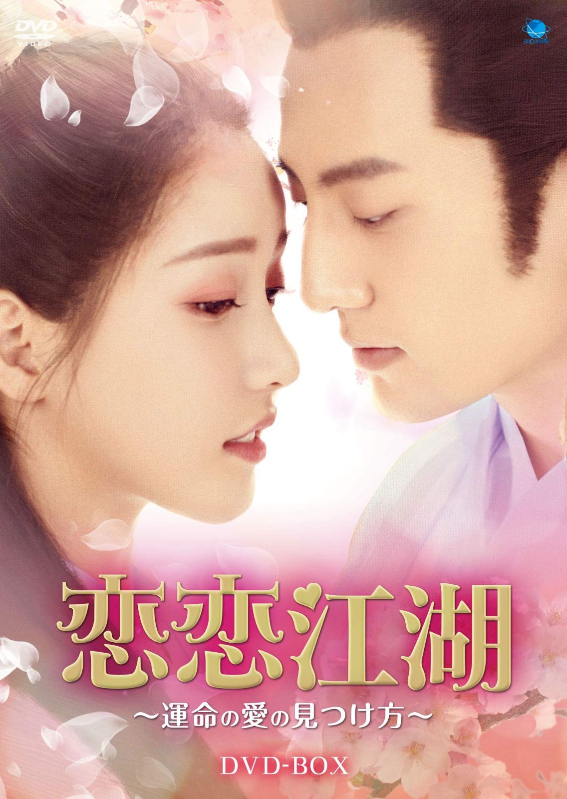 恋恋江湖 運命の愛の見つけ方 DVD BOX