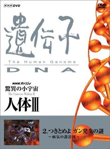 NHKスペシャル 驚異の小宇宙 人体III 遺伝子~DNA 第2集 つきとめよ