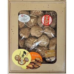 5営業日で発送 ASSY アッシー FUJI 610369690X5