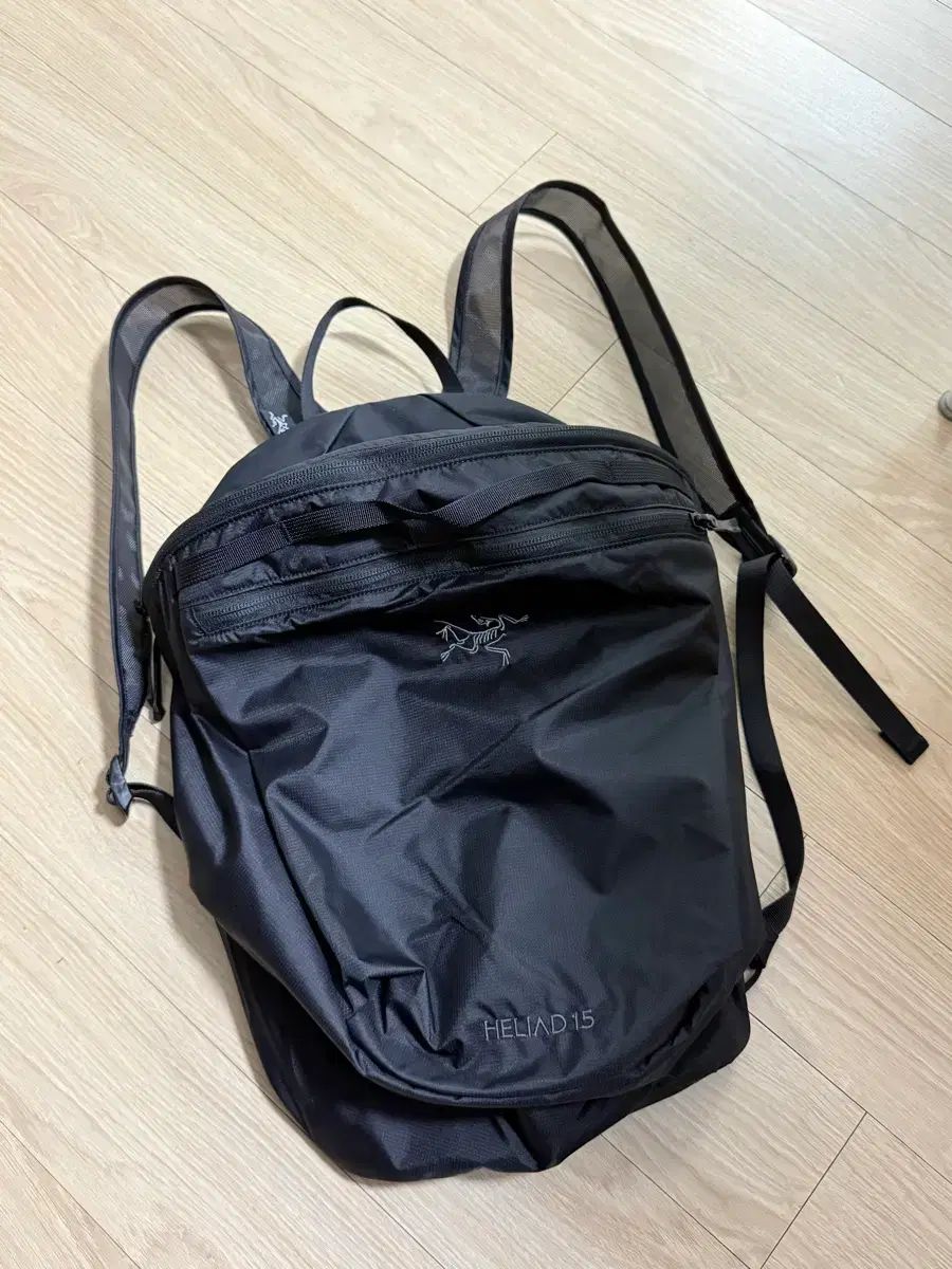 アークテリクス ヒリアド 15 バックパック (新品)