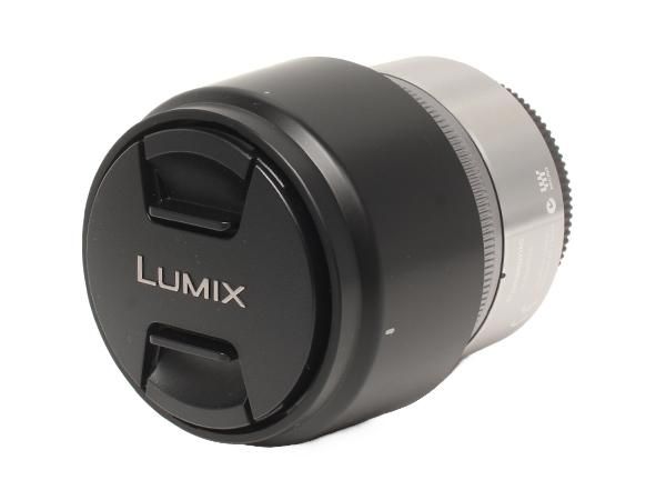 パナソニック 交換用レンズ LUMIX G 45-150 mm F 4.0-5.6 H-FS 45150 Panasonic