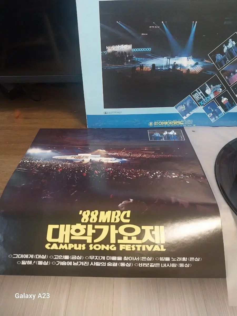 フェスティバル