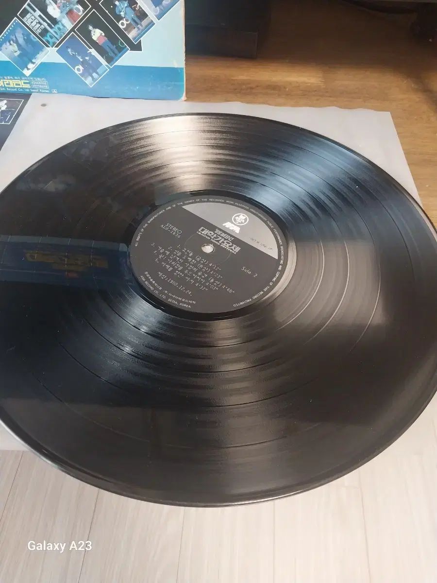 フェスティバル