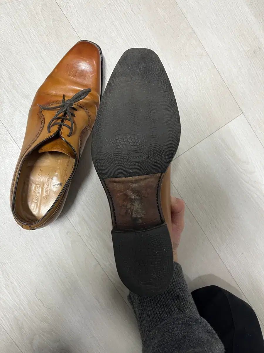 カルロス サンタス