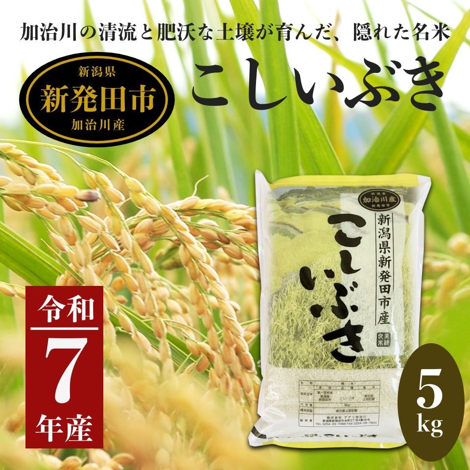 【新米】令和7年産 新潟 加治川産こしいぶき 5kg - メルカリ