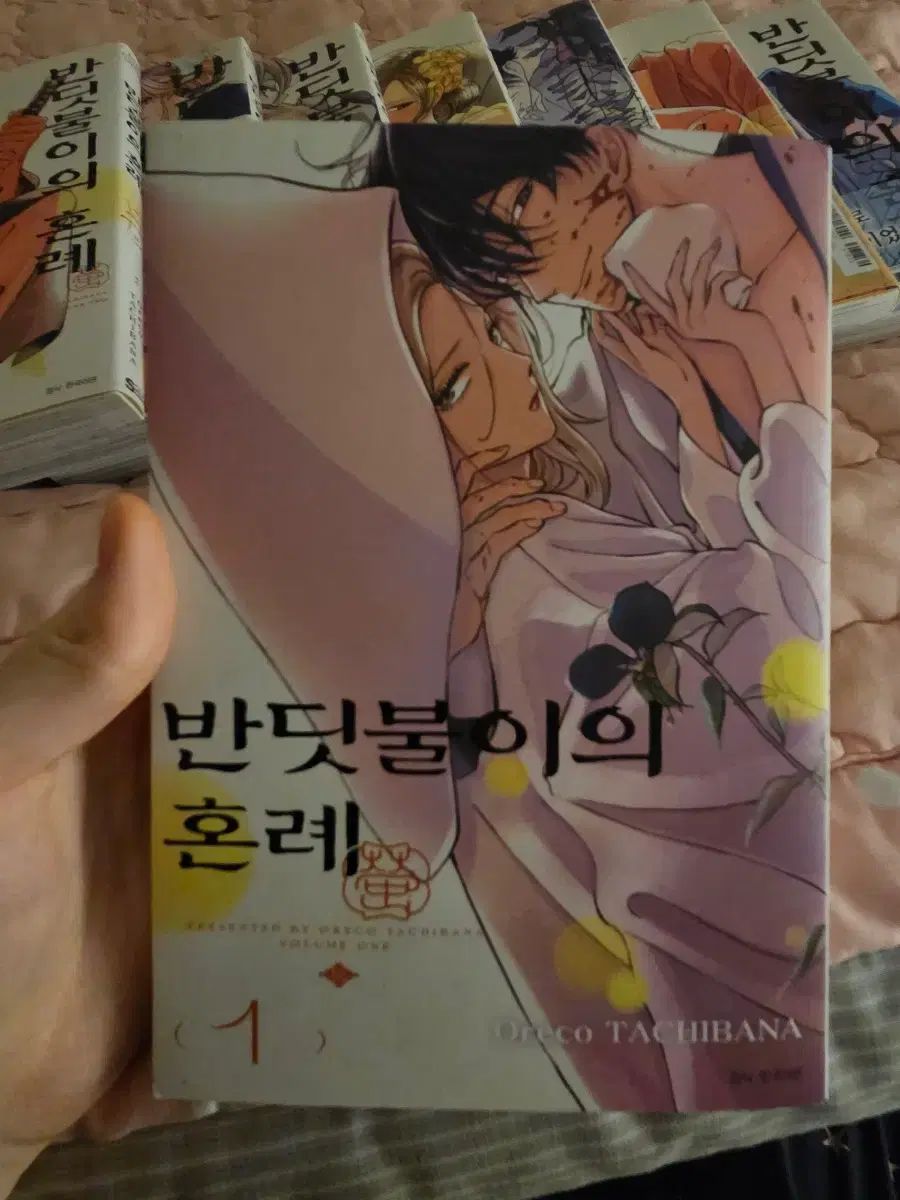 ホタルの 婚礼 漫画 1 8 巻 全巻 まとめ