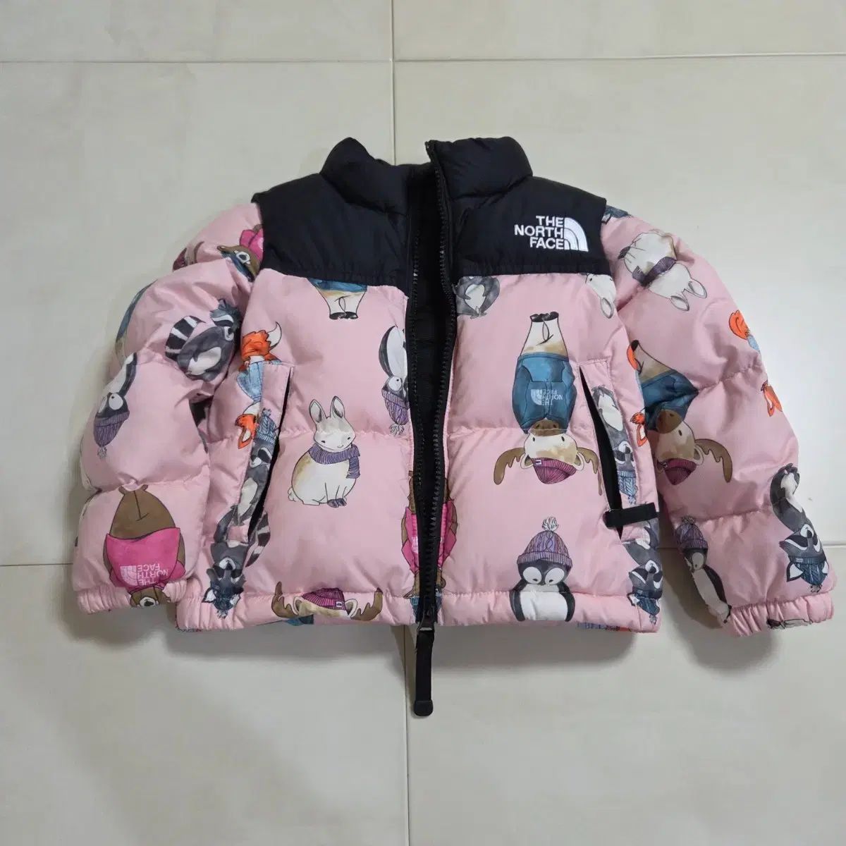 THE NORTH FACE ザノースフェイス キッズ レトロ Nuptse ヌプシ 100